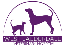 West Lauderdale Veterinary Hospital